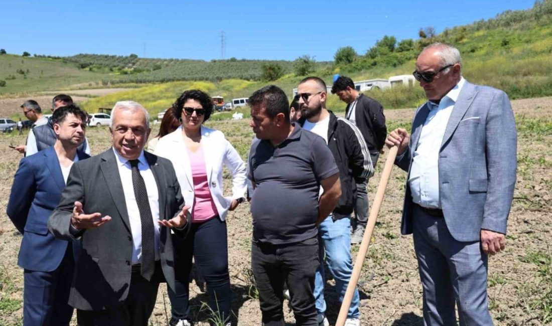 Konaklı’da 800 zeytin fidanı toprakla buluştu Konaklı Mahallesi’nde 800 zeytin fidanını toprakla buluştu. Nilüfer Belediyesi, tarım