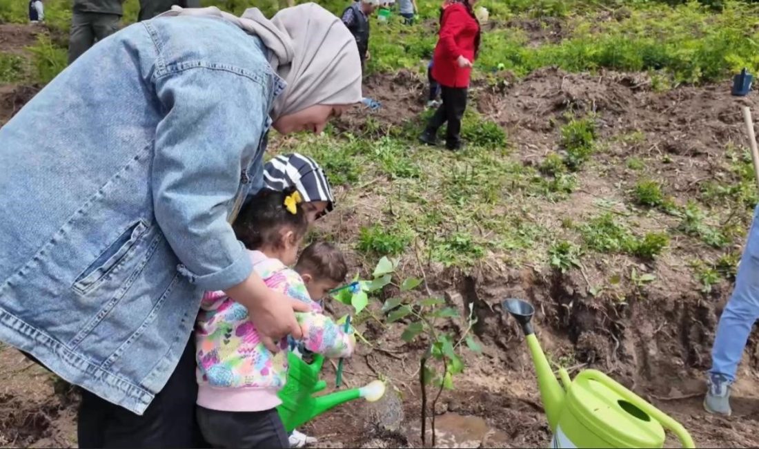 Koruyucu aileler adına 250 ıhlamur fidanı toprakla buluştu Osmaniye Aile ve Sosyal Hizmetler İl Müdürlüğü’nce “Aile Yılı” kapsamında