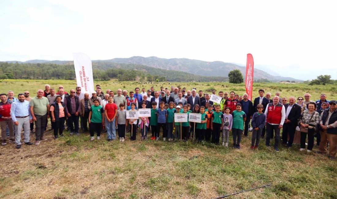 Köyceğiz Döğüşbelen’de 400 dekar meralık alan açıldı Muğla İl Tarım ve Orman Müdürlüğü’nce yürütülen Mera Islah ve