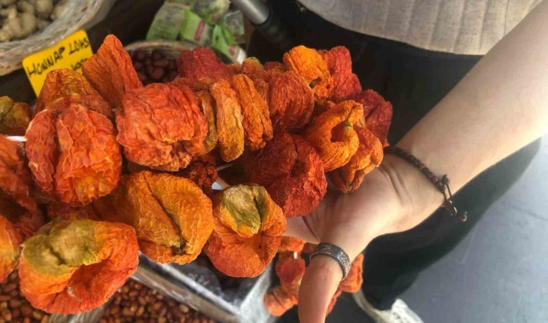 Eskişehir’de vatandaşlar, hem daha ekonomik, hem de pratik olduğu için