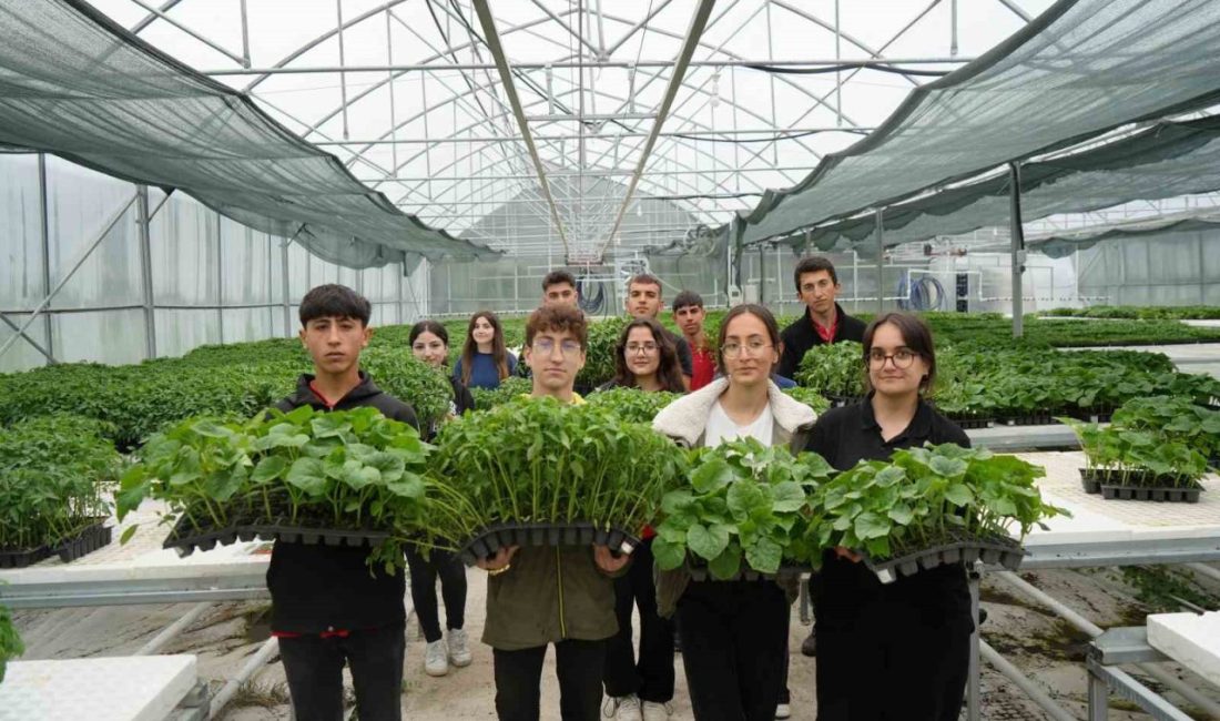 Lise öğrencileri 1 milyon fide üretimi hedefliyor Erzincan Gül Celal Toraman Mesleki ve Teknik Anadolu Lisesi Tarım