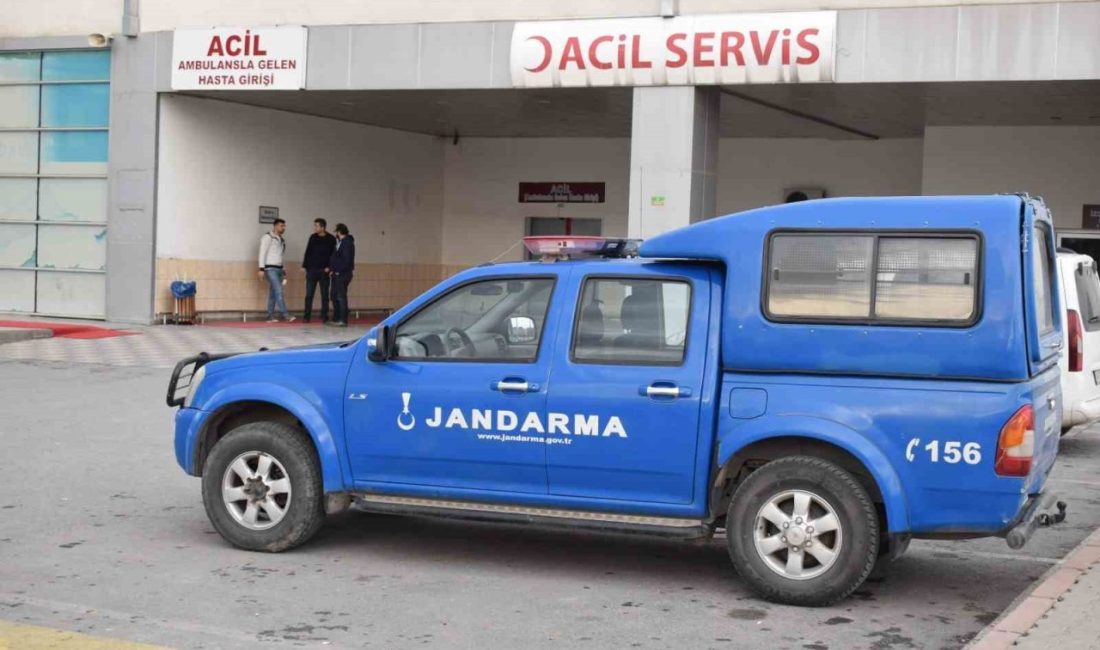 Malatya’da mantardan zehirlenen 6 kişi hastaneye kaldırıldı Malatya’nın Akçadağ ilçesinde mantardan zehirlenen 6 kişi hastaneye kaldırıldı. Akçadağ
