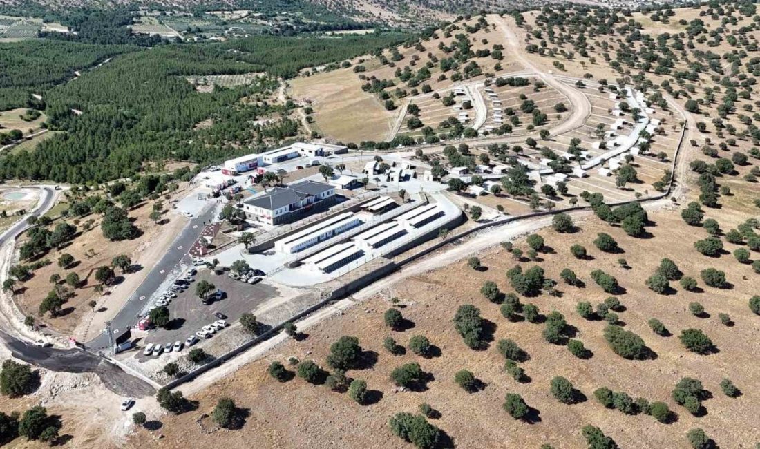 Manisa’da sokak hayvanları için örnek proje hayata geçti Yunusemre Belediyesi ve Manisa Büyükşehir Belediyesi iş birliğiyle hayata geçirilen