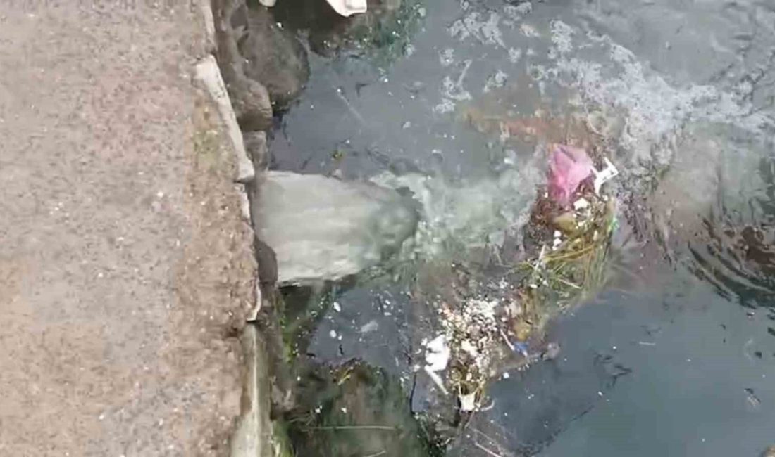 Marmara Denizi’nde kirliliğe neden olan Çınarcık Belediyesi’ne 1,3 milyon lira ceza Çevre, Şehircilik ve İklim Değişikliği Bakanlığı’nca, Marmara Denizi’nde kirliliğe neden