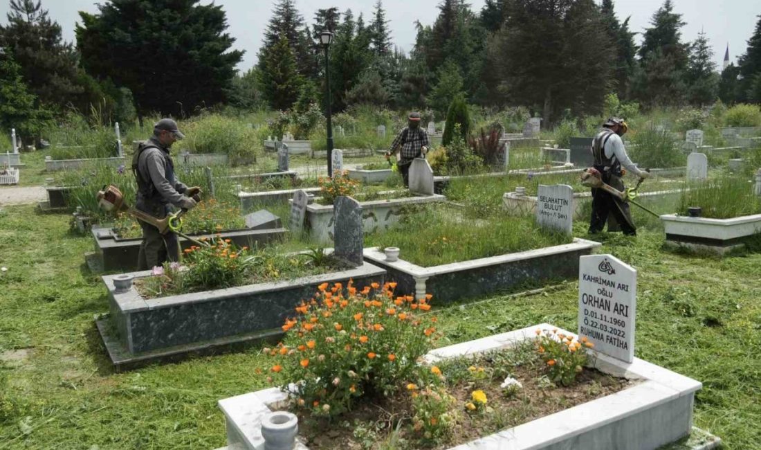 Mezarlıklarda otlar biçiliyor Düzce Belediyesi Park ve Bahçeler Müdürlüğü, kentte bulunan mezarlıklarda ot