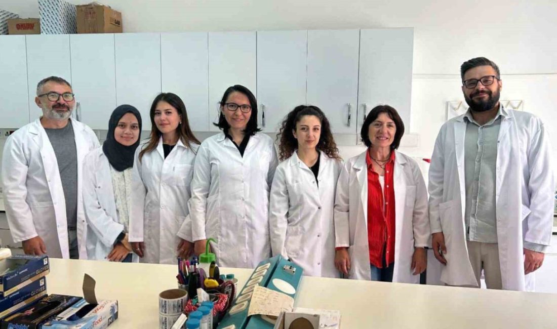 MSKÜ’den bilimsel başarı: ACS Omega kapağında yer aldı MSKÜ öğretim üyeleri Prof. Dr. Hülya Kara Subaşat, Doç. Dr.