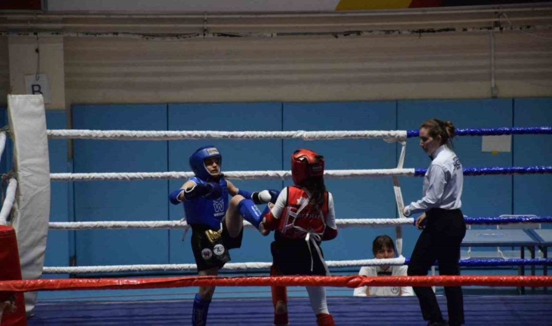 Muay Thai yarışmaları 47 ilden 400 sporcunun katılımıyla başladı 19 Mayıs Atatürk’ü Anma, Gençlik ve Spor Bayramı etkinlikleri çerçevesinde