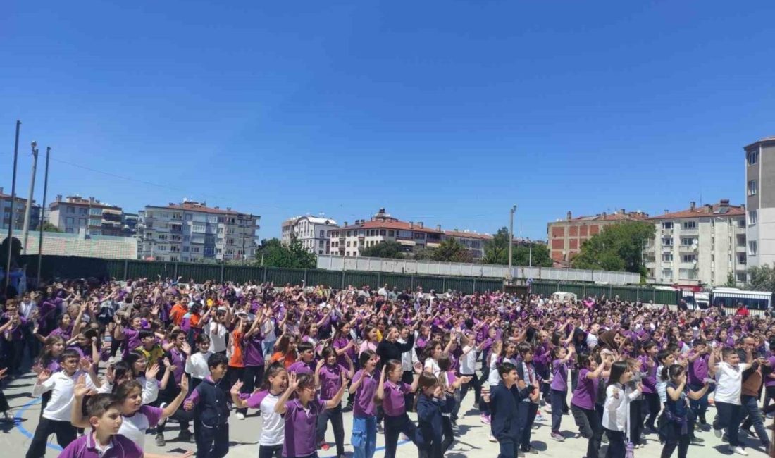 Mudanya Şükrü Çavuş Sait Eroğlu İlkokulu, “Hareketli Yaşam, Oyun ve