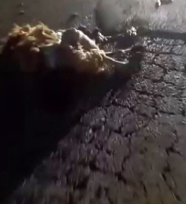 Hatay’ın Reyhanlı ilçesinde yolun karşısına geçtikleri esnada otomobilin çarptığı 10