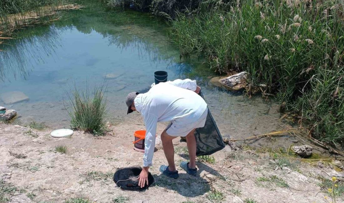 Eskişehir’in Günyüzü ilçesinde vatandaşlar, Bizans İmparatorluğu döneminden kalma içi su