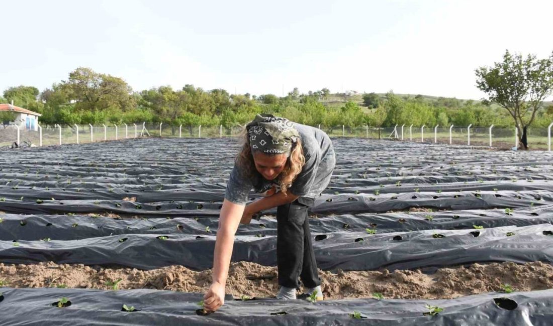 Koronavirüs salgınının patlak verdiği 2021 yılında Ankara’da özel bir şirkette