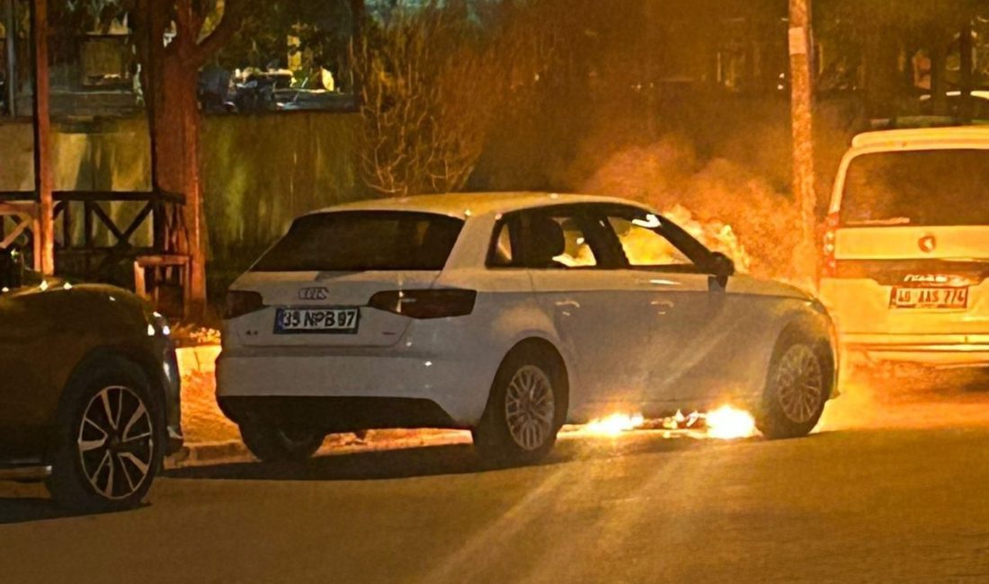 Şanlıurfa’nın Birecik ilçesinde park halindeki lüks otomobil alev alarak yandı.