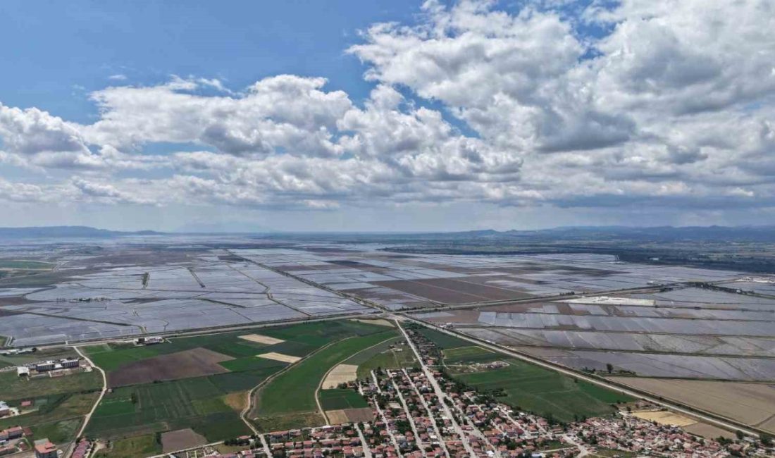 Edirne’nin İpsala ilçesinde bulunan pirinç tarlaları havadan görüntülendi. Türkiye’nin en