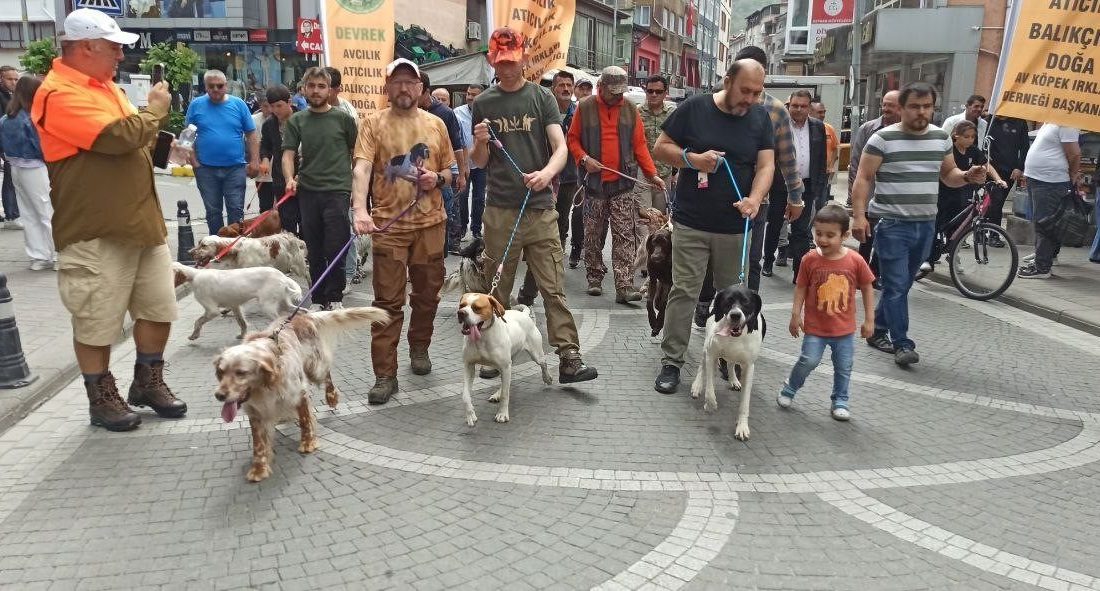 Profesyonel avcılar Devrek’te buluştu Türkiye’nin profesyonel avcıları av köpekleriyle birlikte Devrek’te bir araya geldi.