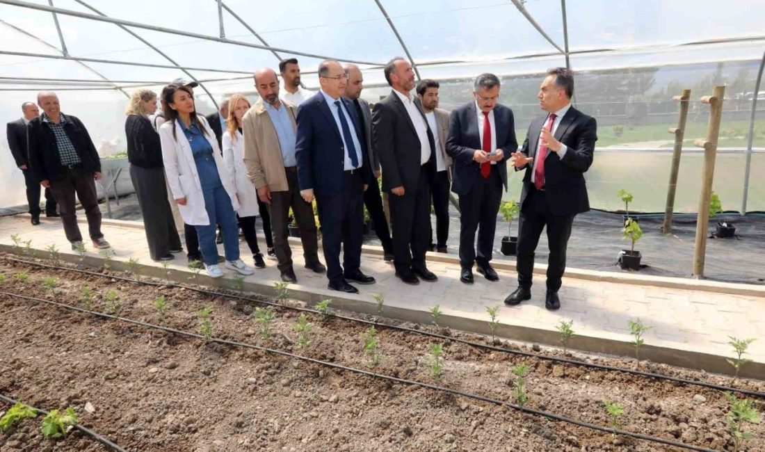 Tokat Gaziosmanpaşa Üniversitesi (TOGÜ) Rektörü Prof. Dr. Fatih Yılmaz, Mesleki