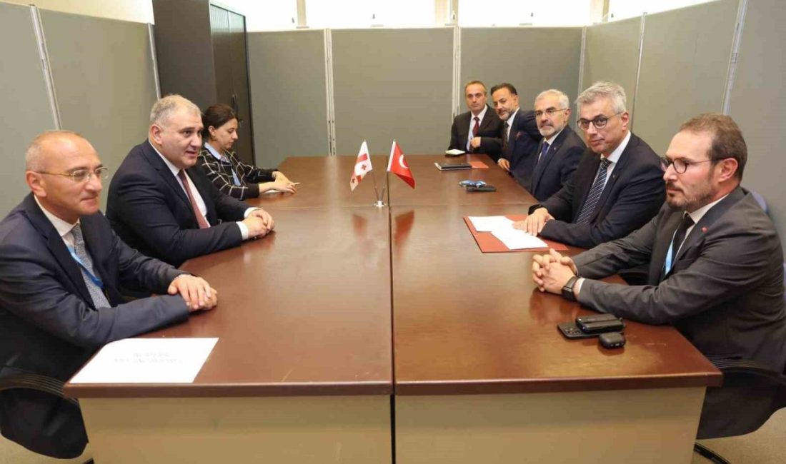 Sağlık Bakanı Memişoğlu, Gürcistanlı mevkidaşı ile bir araya geldi Sağlık Bakanı Kemal Memişoğlu, Gürcistanlı mevkidaşı Mikheil Sarjveladze ve beraberindeki