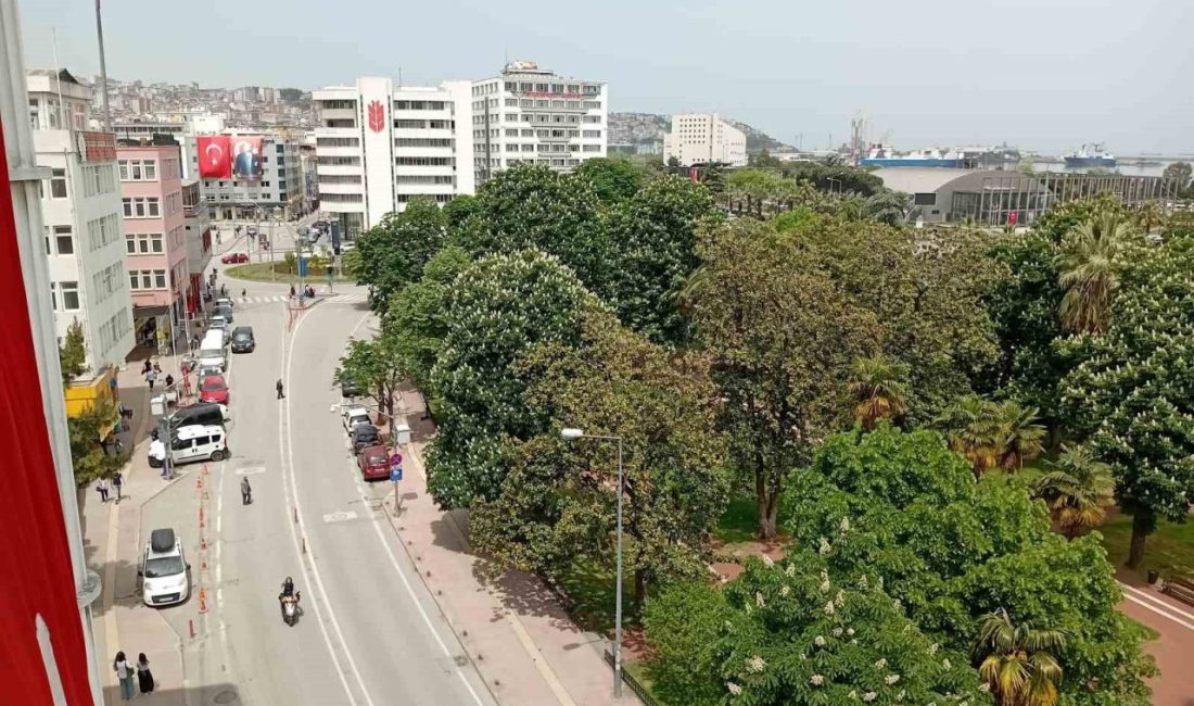 19 Mayıs Atatürk’ü Anma, Gençlik ve Spor Bayramı kutlamaları kapsamında