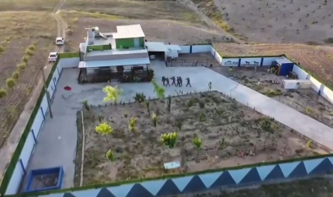 Şanlıurfa’da düzenlenen tefecilik operasyonunda gözaltına alınan 8 şüpheli tutuklandı. Birecik