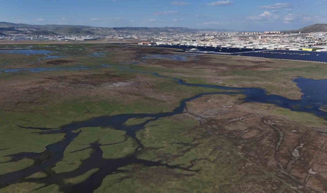Kayseri’nin 13 kilometre uzaklığında bulunan uluslararası öneme sahip sulak olan