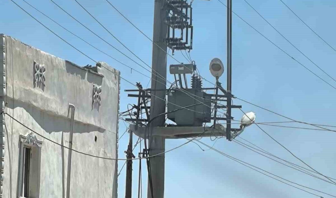 DEM Partili Silopi Belediyesi, Dicle Elektrik’in 2025 yılı yatırım programı