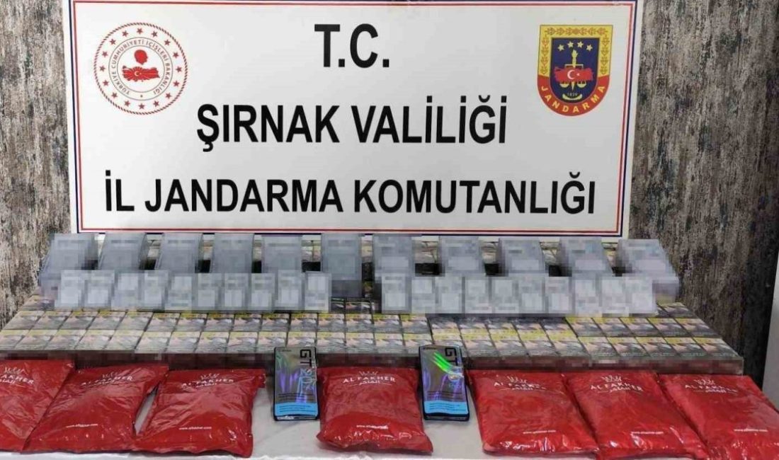 Şırnak’ta yapılan operasyonlarda 3 milyon 148 bin lira değerinde kaçak