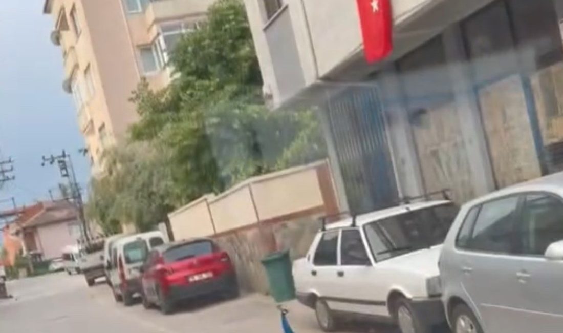 Bursa’da trafikte seyir halinde olan bir sürücü, yolda karşısına çıkan