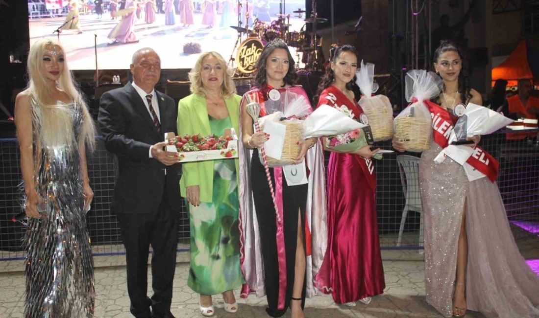 Aydın’ın Sultanhisar ilçesinde bu yıl 53.’sü düzenlenen Uluslararası Sultanhisar Atça