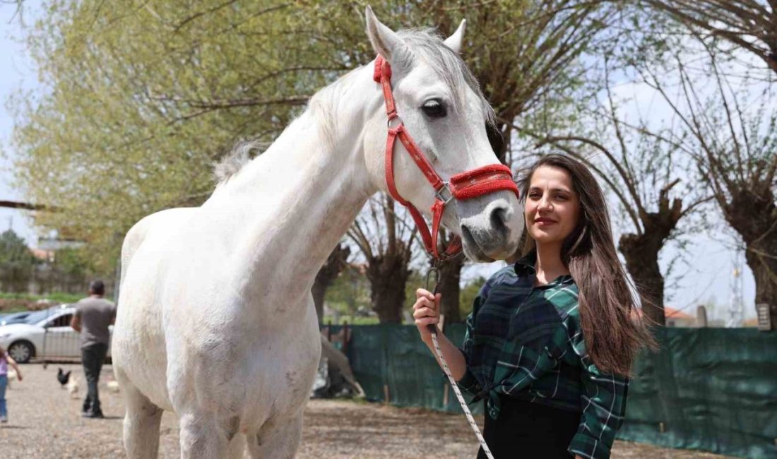 Son yıllarda ekranlarda artan tarihi dizilerde ata binen kadın karakterler,