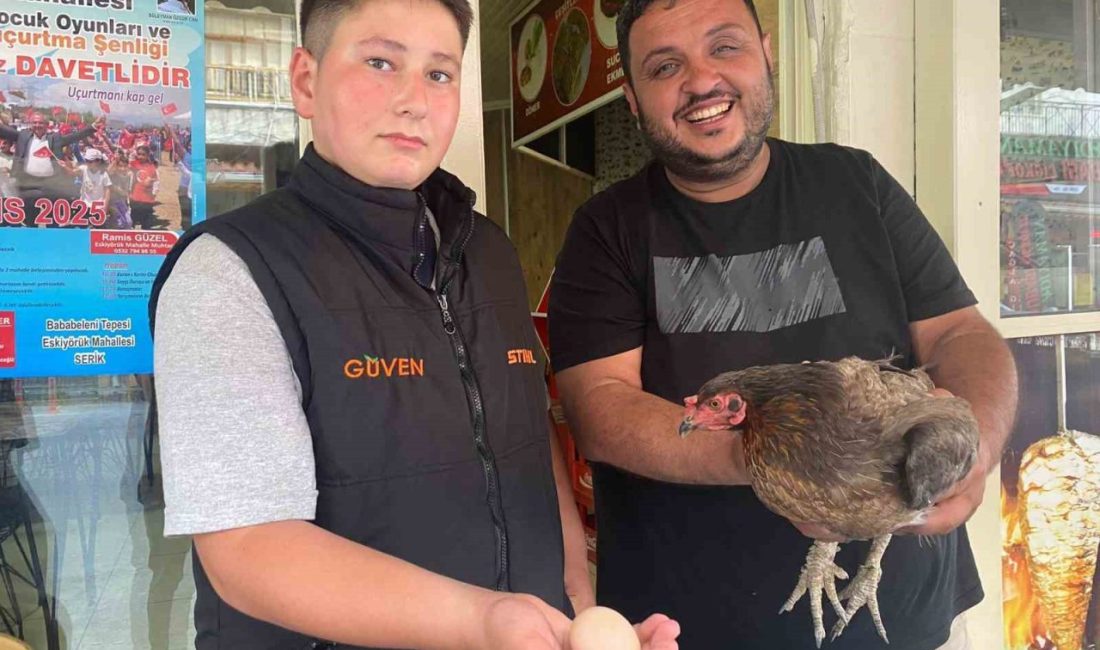 Tavuğun cesareti dönerciyi şaşkına çevirdi: Yumurtlamak için tavuk dönerciyi seçti Antalya’nın Serik ilçesinde sokaktan gelen tavuk, tavuk dönerci dükkanına girerek