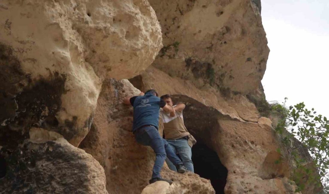 Terör bitti, mağaralar turizme kazandırılıyor Şırnak’ta halk arasında “Ulya Şeyhan” olarak bilinen apartman mağaraları, hem
