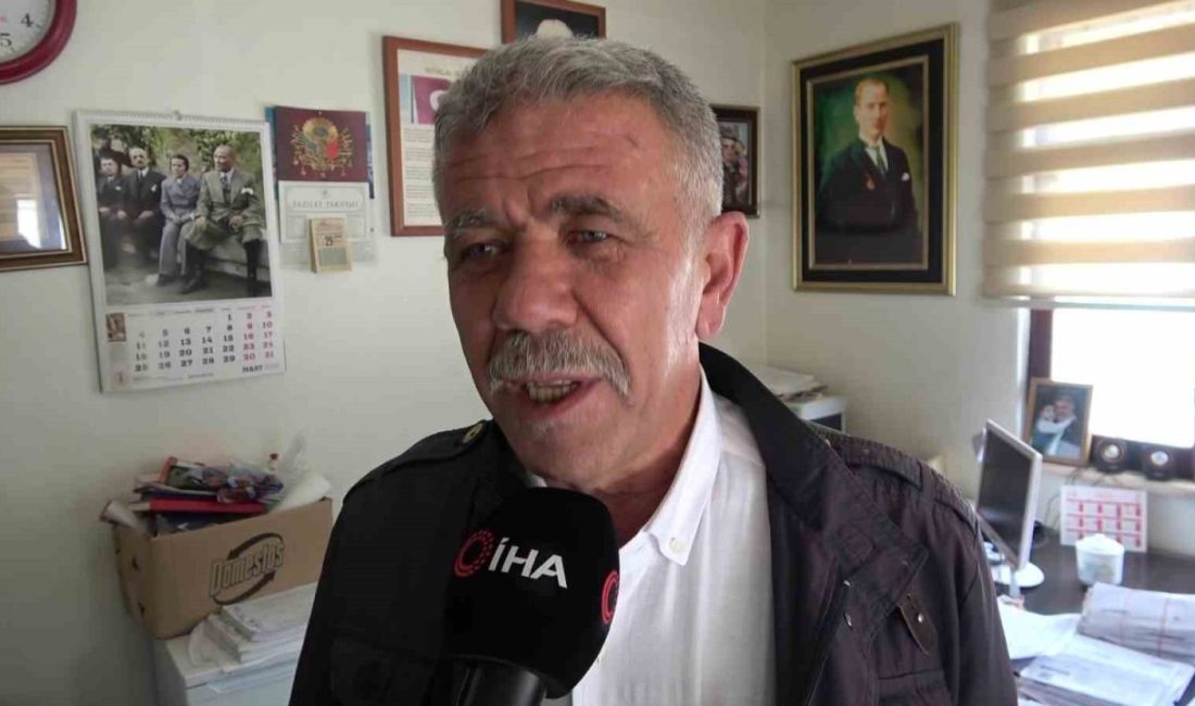 Amasya’da bir tilki futbol sahasına girdi. Sahada gezinip yiyecek arayan