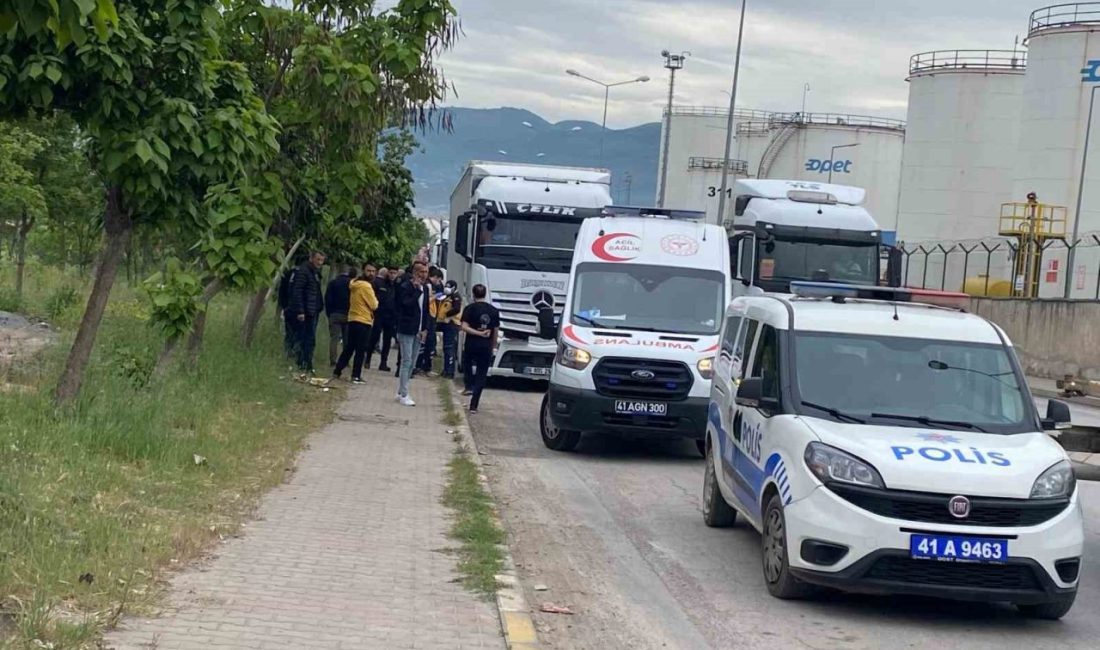 Tır sürücüsü araçta asılı halde ölü bulundu Kocaeli’nin Körfez ilçesinde 35 yaşındaki adam, tırda iple asılı halde