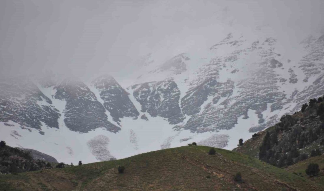Tunceli’de yüksek kesimlere kar yağdı Tunceli’de mayıs ayının ortasında yüksek kesimlere kar yağdı. Kentte dün