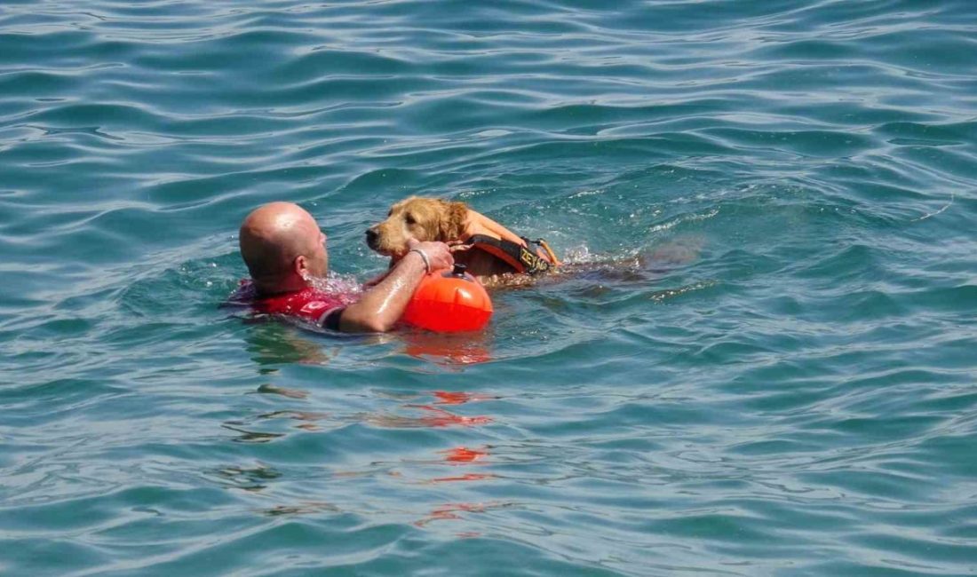 Antalya merkezli Suda Arama Kurtarma Derneği (SKUT) ekibinde sualtı arama