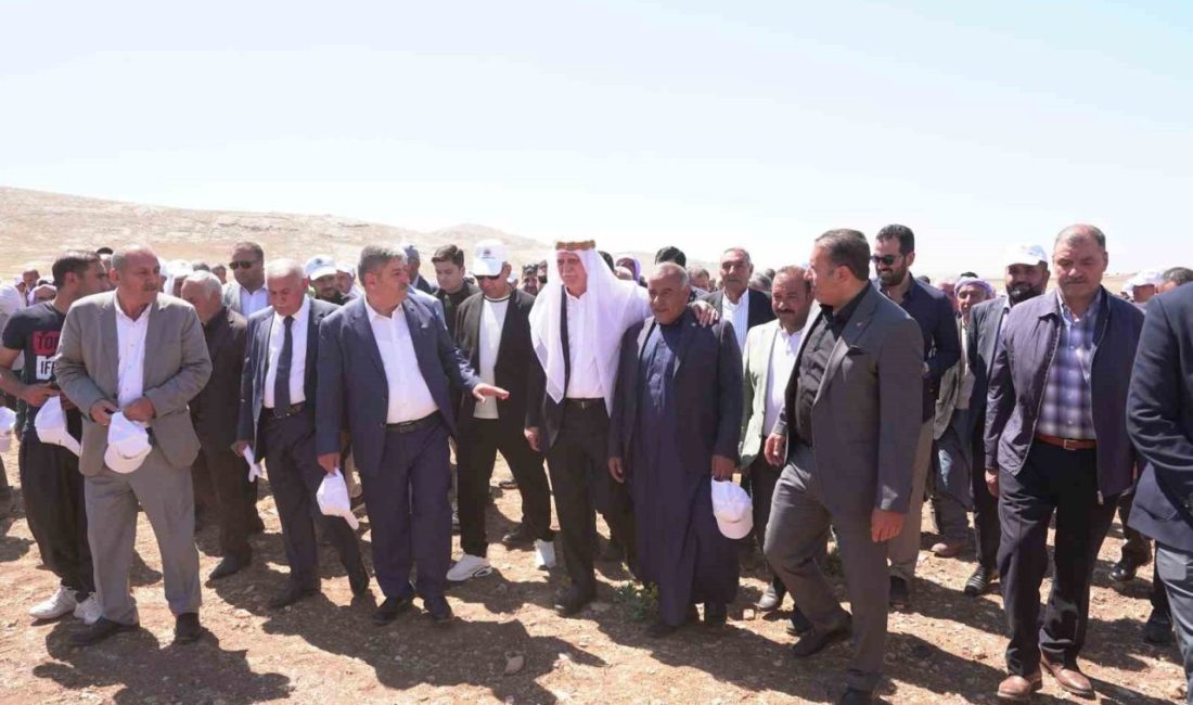 Türkiye Ziraat Odaları Birliği (TZOB) Genel Başkanı Şemsi Bayraktar, kuraklığın