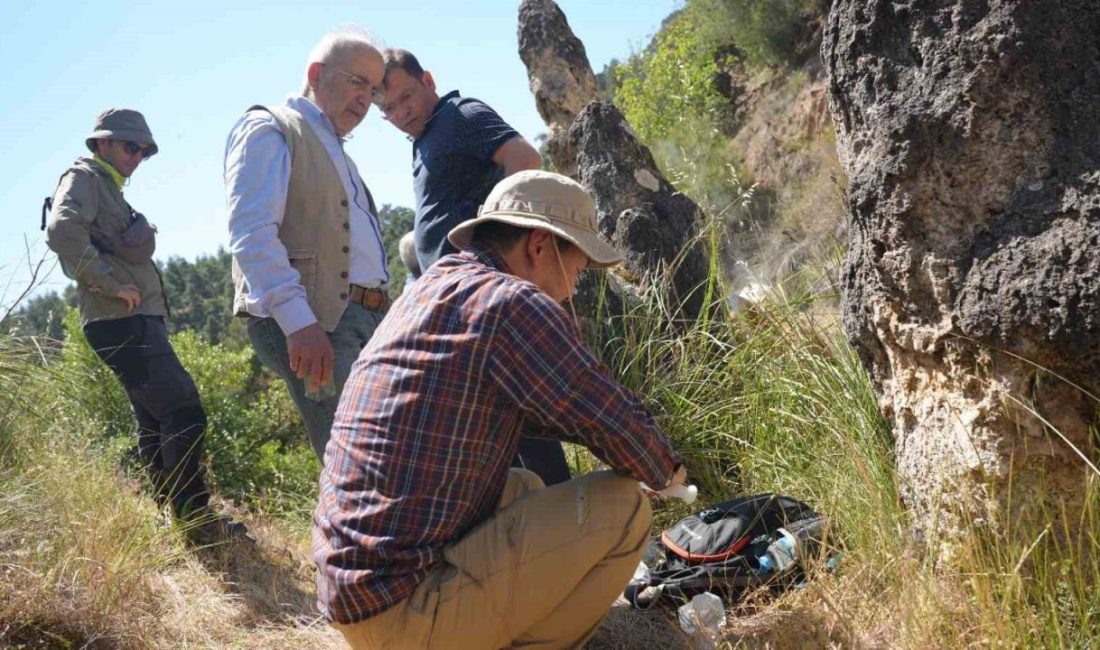 Balıkesir’in Sındırgı ilçesinde yer alan ve sahip olduğu doğal güzellikler