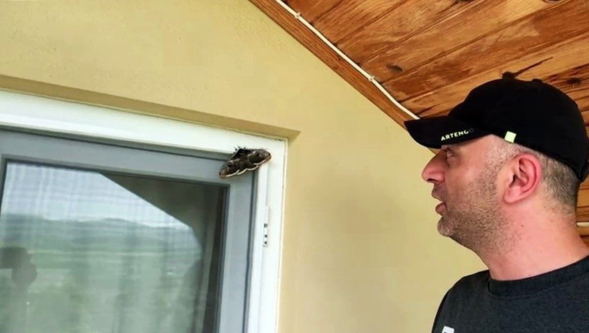 Sakarya’nın Hendek ilçesinde Ersin Yalçın isimli vatandaş, ünlü ressam Vincent