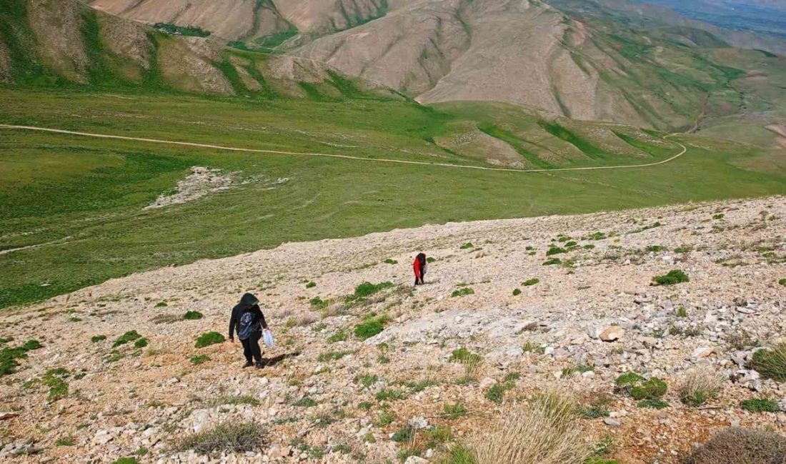 Van Sağlık Müdürlüğü Sağlık Hizmetleri Başkanı Uzman Dr. Mehmet Tatlı,