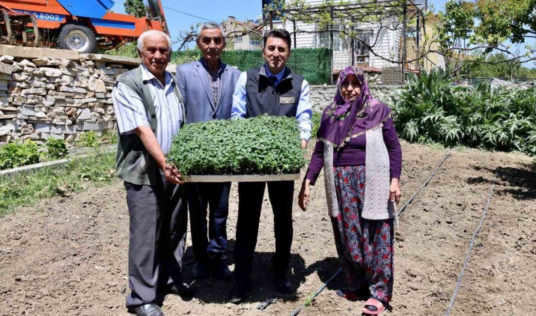 Bilecik Valisi Şefik Aygöl, Söğüt ilçesi Dereboyu Köyü’nde çiftçilik yapan,