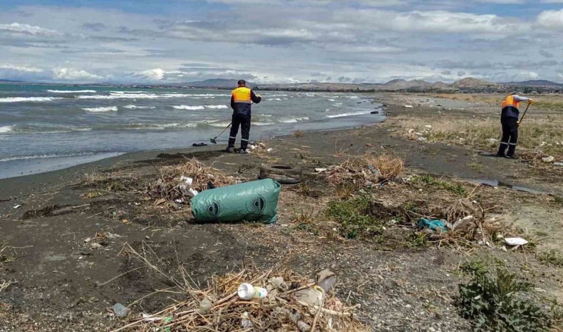 Van Büyükşehir Belediyesi inci kefali göç güzergahındaki dereleri temizledi Van Büyükşehir Belediyesi, inci kefalinin göç yolu üzerindeki dereler ve