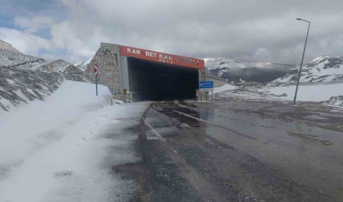 Van’da dağların zirvesinde kar, ovalarında çiçek Van ve ilçelerini saran yüksek dağların zirvelerine kar yağarken, ovalar