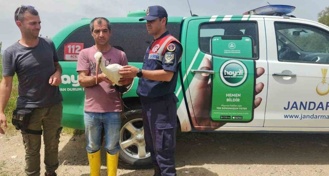 Aydın İl Jandarma Komutanlığı Çevre, Doğa ve Hayvanları Koruma Timi