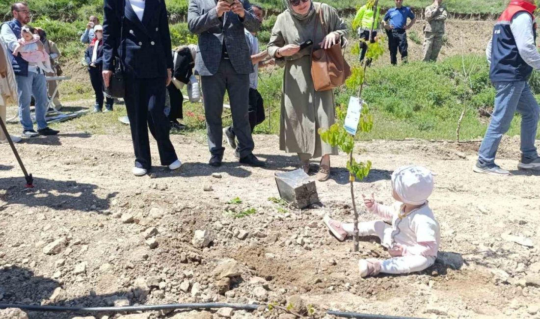 Yeni doğan bebekler hatıra ormanına ilk fidanlar dikildi Tortum Kaymakamlığı ile Erzurum Aile ve Sosyal Hizmetler İl Müdürlüğü
