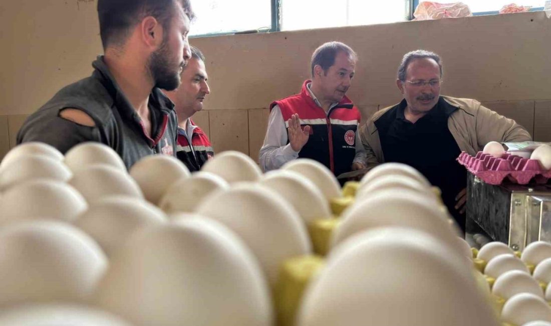 Erzincan’da Et ve Süt Kurumu Genel Müdürlüğü’nün kanatlı kombinasının kurulmasının