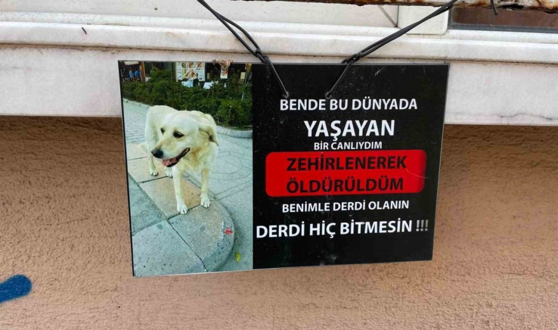Eskişehir’de bir tabelada, köpeğin fotoğrafıyla birlikte yazılan not dikkat çekti.