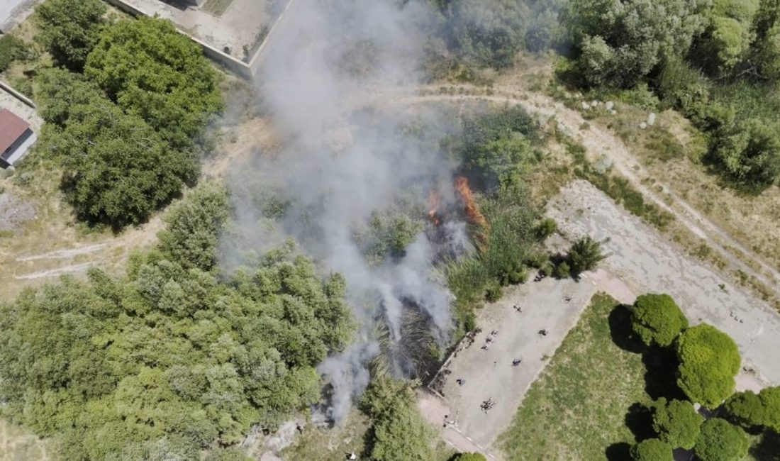 Adilcevaz’da Van Gölü sahilinde yangın paniği: Kafe yakınında sazlık alan yangını Bitlis’in Adilcevaz ilçesinde Van Gölü sahilinde, bir kafe yakınındaki sazlık