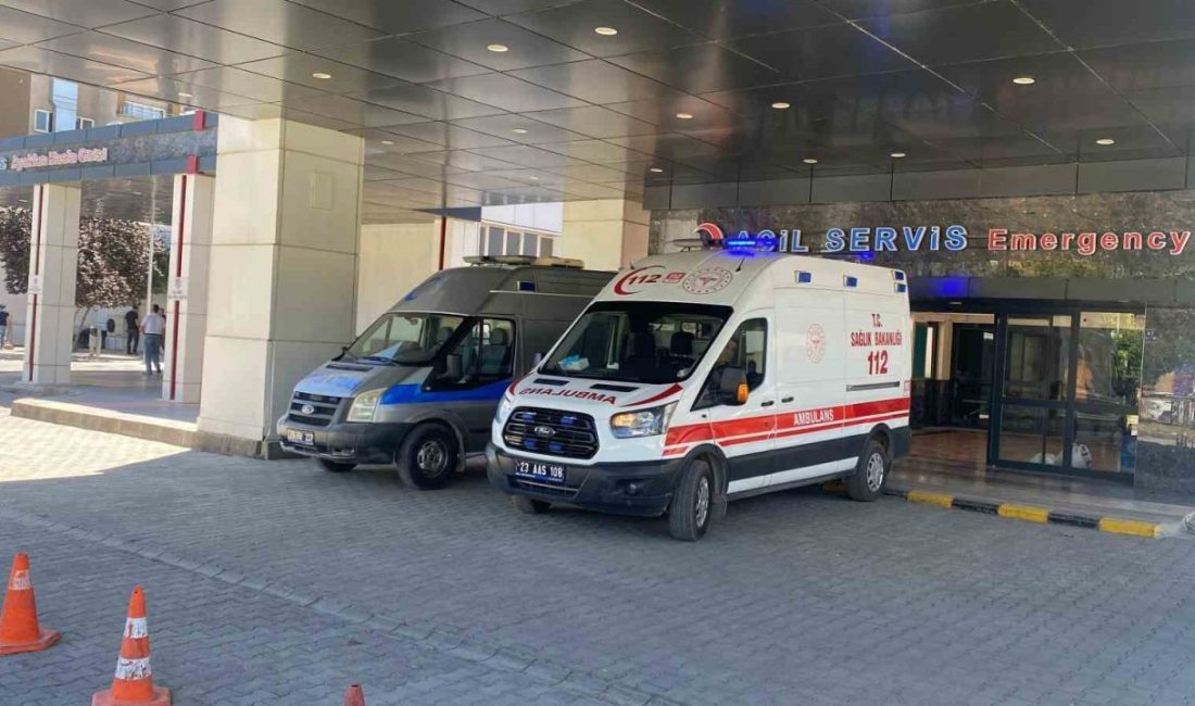 Ahırda süt sağan kadını kene ısırdı Elazığ’ın Karakoçan ilçesinde, ahırda süt sağarken kenenin ısırdığı kadın hastaneye