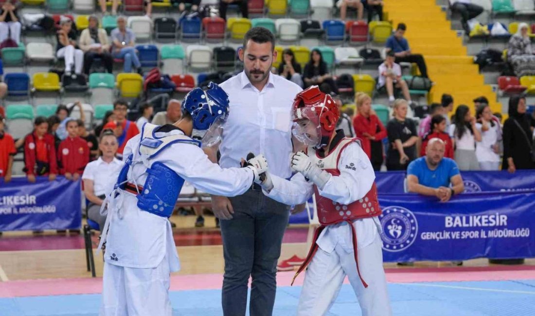 ANALİG Taekwondo müsabakaları başladı Balıkesir Şehit Turgut Solak Spor Salonu’nda düzenlenen Anadolu Yıldızlar Ligi