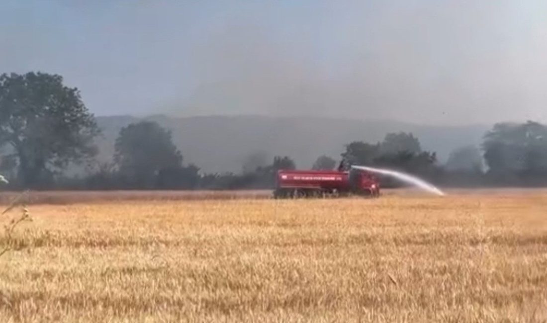Anız yangını güçlükle söndürüldü Düzce’de merada çıkan anız yangını rüzgarın etkisi ile güçlükle söndürüldü.