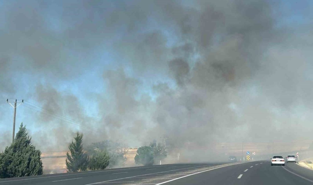 Anız yangını saman balyalarını küle çevirdi Adıyaman’da meydana gelen anız yangını saman balyalarını küle çevirdi. Edinilen